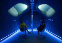 Fossili, fra virtuale e reale