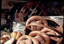 Panificazione, forni e panetterie