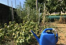 Acqua: non tutti seguono le regole