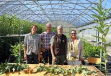 Il valore di “andar per castagne”