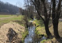 Un fiume tutto da vivere