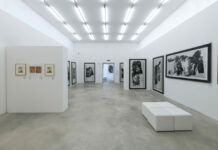 Mostra prolungata al m.a.x. museo