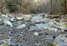 Appello al Mendrisiotto: “Uso solidale dell’acqua”