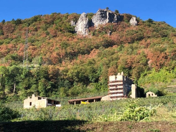 Castello Mago di Cantone