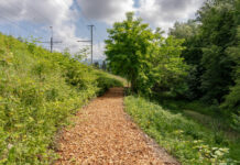 Parco del Laveggio: i Meandri in una nuova veste
