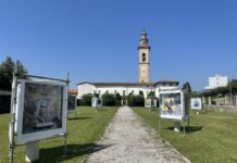 Riflettori su Renzo Fontana