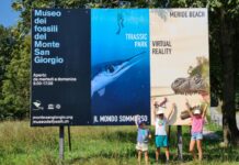 Andare oltre al fossile…