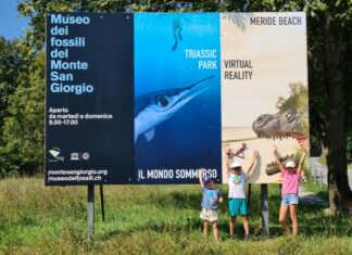 Andare oltre al fossile…