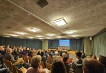 In difesa della democrazia: a proposito di Skate Park a Mendrisio