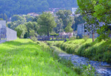 Un anno di eventi in migliaia di “clic”