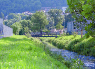 Un anno di eventi in migliaia di “clic”