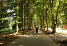 L’OSC di Mendrisio dentro un film