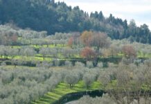 Lungo il filo del racconto