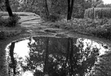 Natura protagonista in immagini