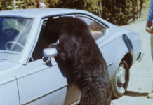 ChiassoLetteraria, tutti i nomi