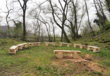 Benvenuta aula nel bosco