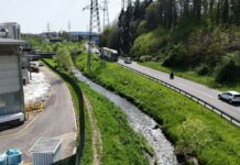Laveggio, sponde “green”