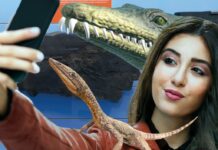 A Meride s’inaugura Dragons Alive