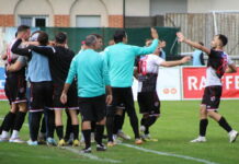 Il Mendrisio ferma la capolista