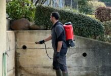 Formiche scatenate, si va all’attacco