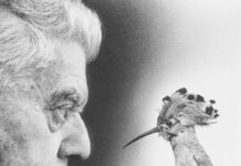 Montale e il male di vivere