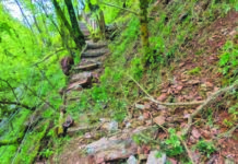 Piovono sassi nel Parco