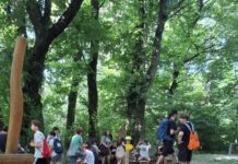 Una Cometa nel bosco
