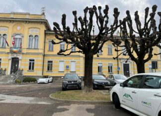 AIM verso la forma dell’Ente