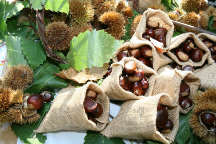 sagra della castagna 06, vacallo