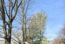 Crescita emotiva: l’esperienza al CPT per oltre 800 apprendisti