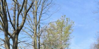 Crescita emotiva: l’esperienza al CPT per oltre 800 apprendisti