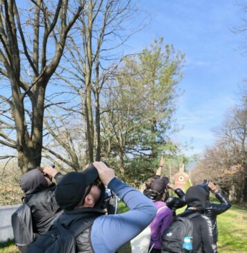 Crescita emotiva: l’esperienza al CPT per oltre 800 apprendisti