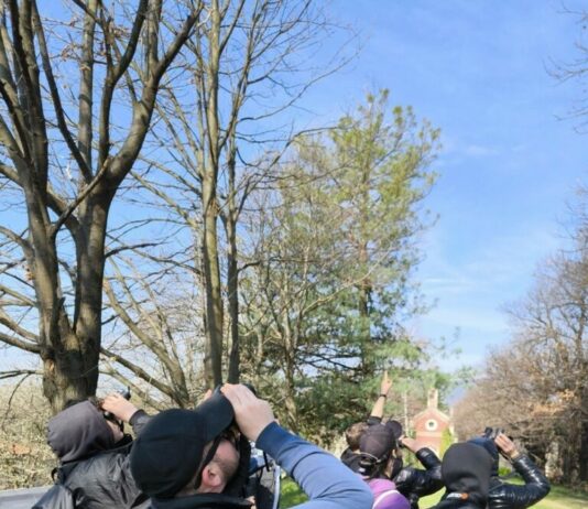 Crescita emotiva: l’esperienza al CPT per oltre 800 apprendisti