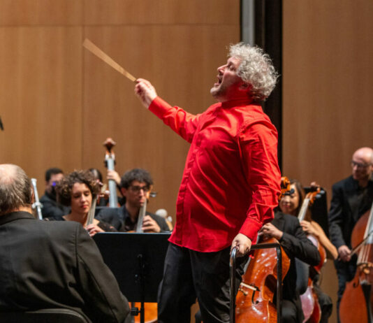 Façade: un concerto fuori dagli schemi per l’ofsi