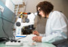 Zanzare, così la SUPSI sfiderà il virus del Nilo