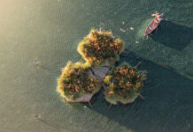 Isole galleggianti per curare il lago