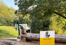 Il futuro del bosco e dei percorsi sulla Collina d’Avra
