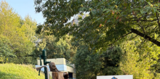 Il futuro del bosco e dei percorsi sulla Collina d’Avra
