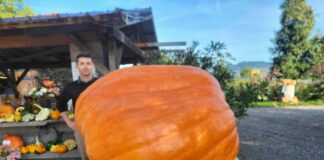 Sagra della zucca: Castel San Pietro si tinge di arancione